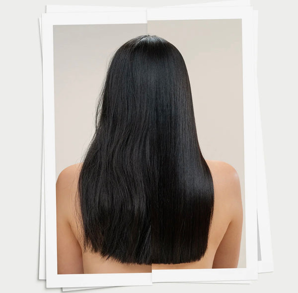 Éco-recharge OI Shampoo
Shampoing doux pour cheveux brillants et souples